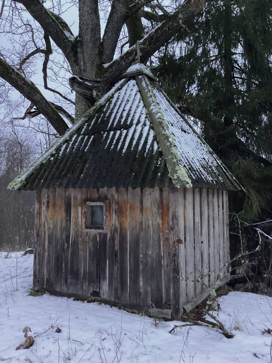 Вид с востока, фасады. Неизвестная часовня, Воронцово (Торопецкий район, Тверская область)
