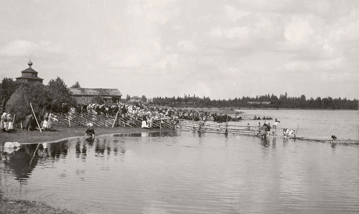Фото З. П. Малиновской 1928 г. из фондов РЭМ. (Музейный № РЭМ 5524-187), архивная фотография. Церковь Николая Чудотворца, Пелуши (Бокситогорский район, Ленинградская область)
