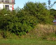 Неизвестная церковь, От храма осталась разрушенная восточная стена в высоту до 3 м., Лдзаа, Абхазия, Прочие страны