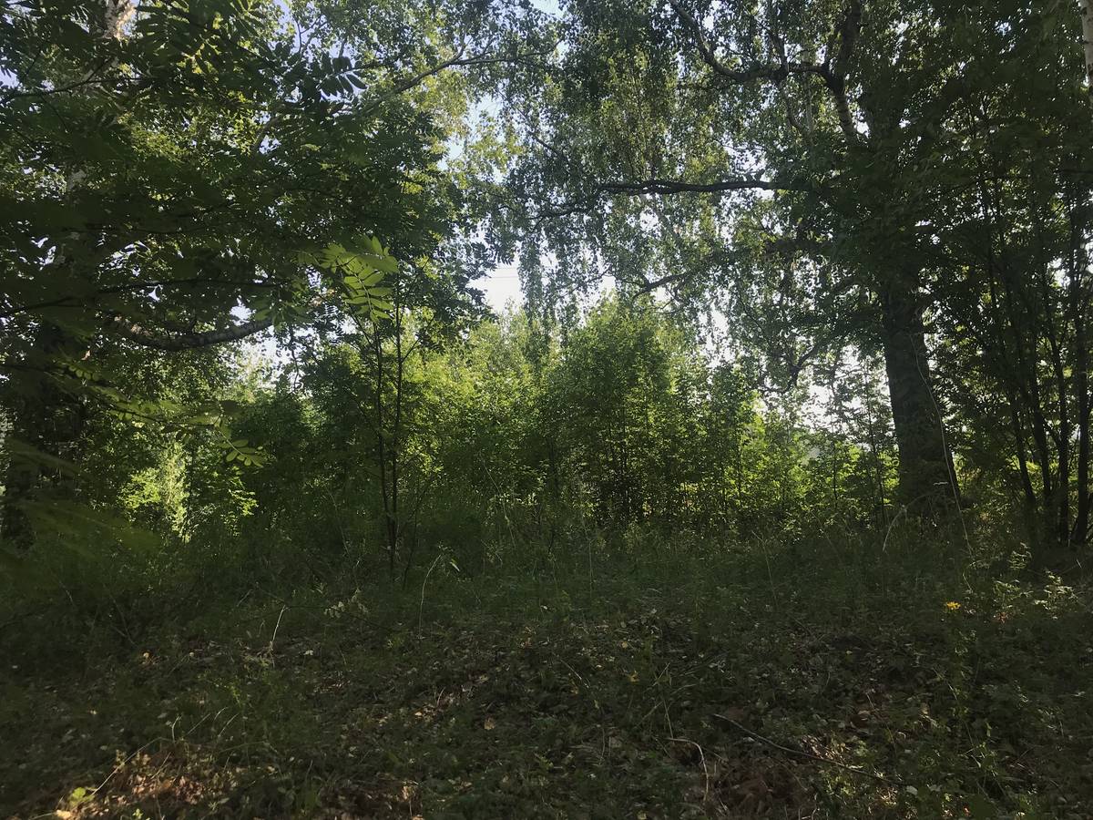 Место храма сегодня, общий вид в ландшафте. Церковь Геннадия Цареградского, Синерь (Кукморский район, Республика Татарстан)