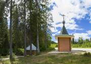 Часовня Преображения Господня, , Маньково, Вашкинский район, Вологодская область