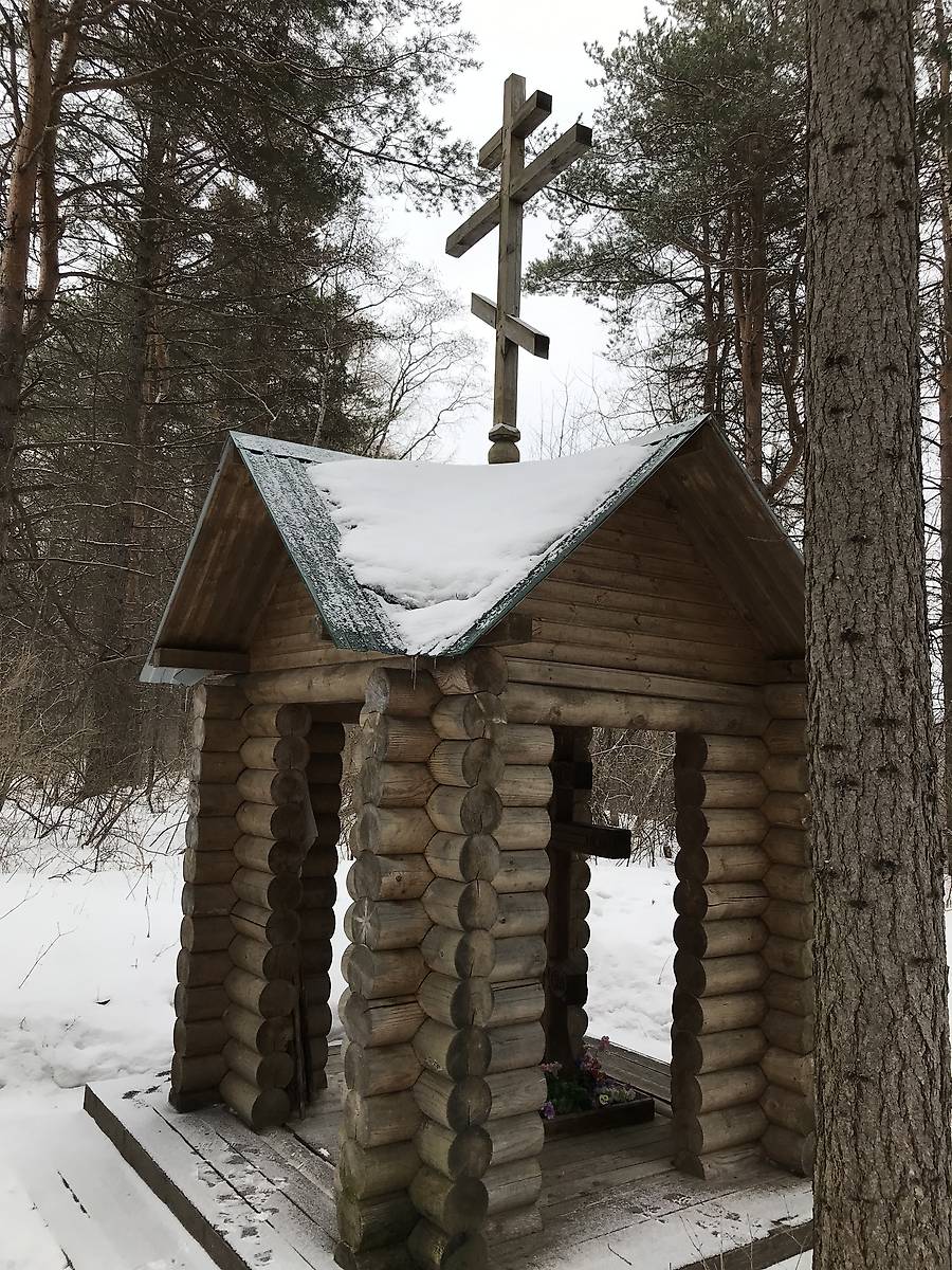 фасады. Часовня Антония Сийского, Савинский (Плесецкий район, Архангельская область)