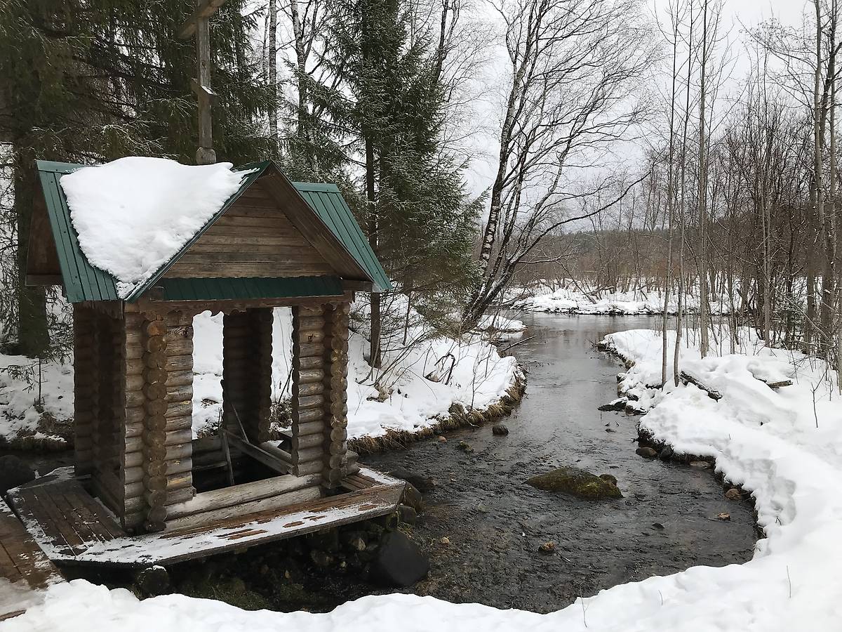 Святой источник с купелью, дополнительная информация. Часовня Антония Сийского, Савинский (Плесецкий район, Архангельская область)