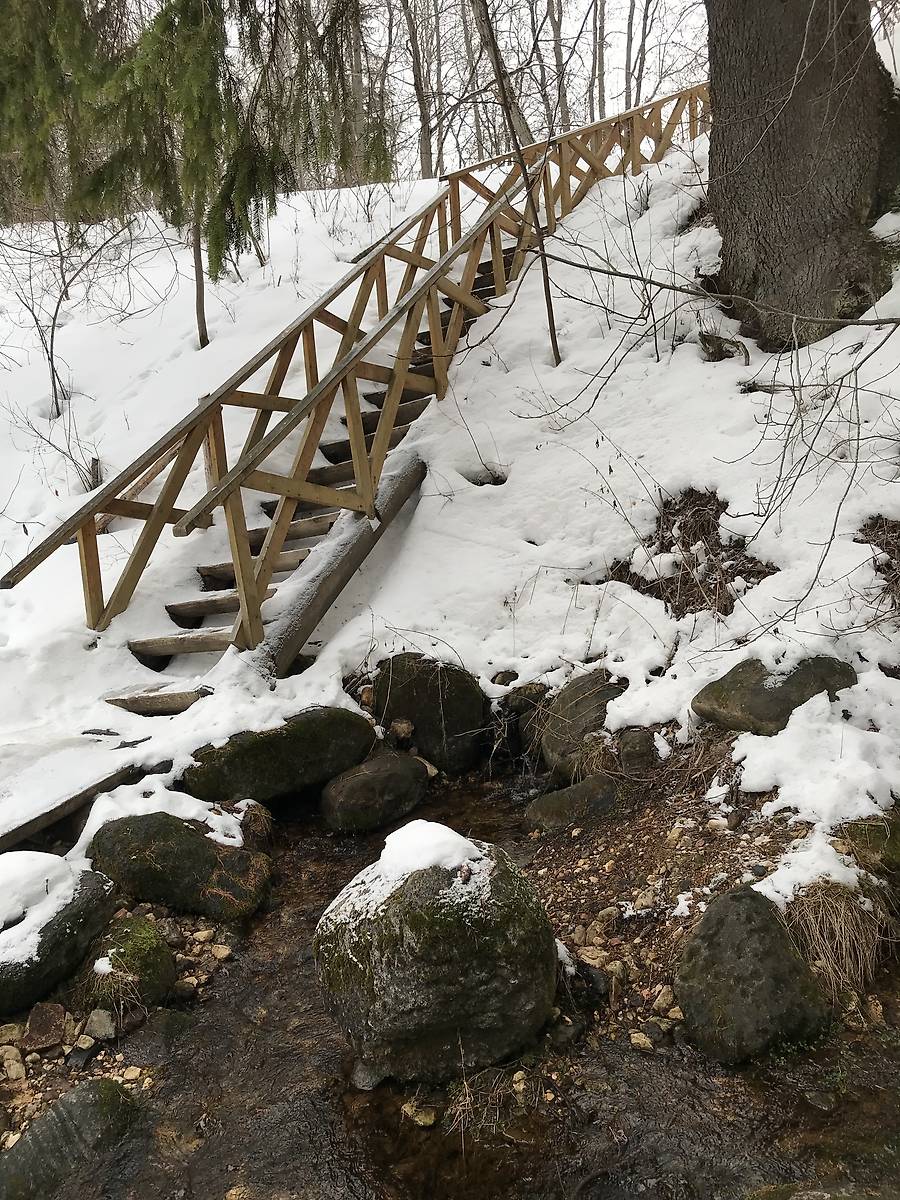 Спуск от часовни к купели, дополнительная информация. Часовня Антония Сийского, Савинский (Плесецкий район, Архангельская область)