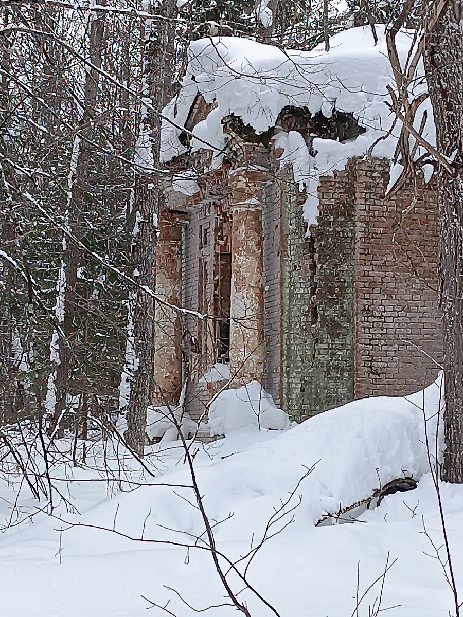 архитектурные детали. Церковь Троицы Живоначальной, Никола Мокрый, урочище (Галичский район, Костромская область)