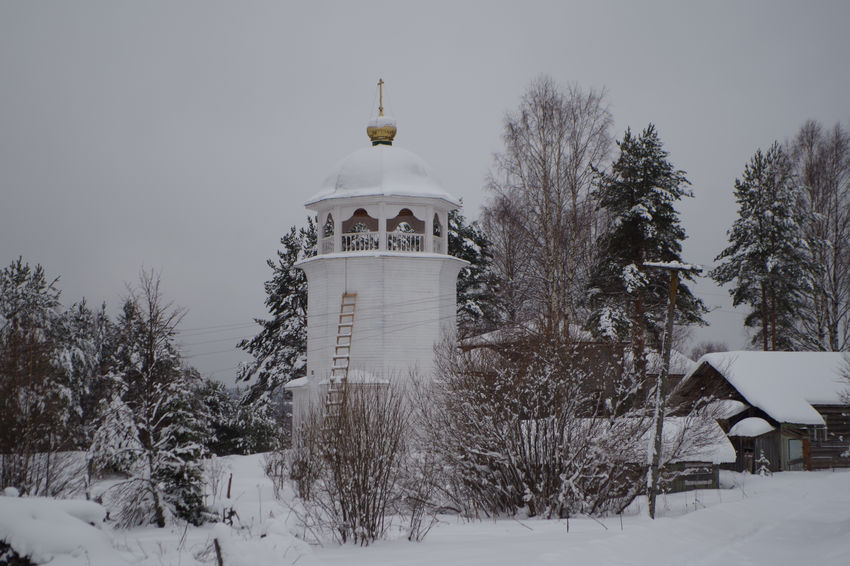 фасады. Колокольня Андричевского прихода, Павловское (Андричевское) (Вельский район, Архангельская область)