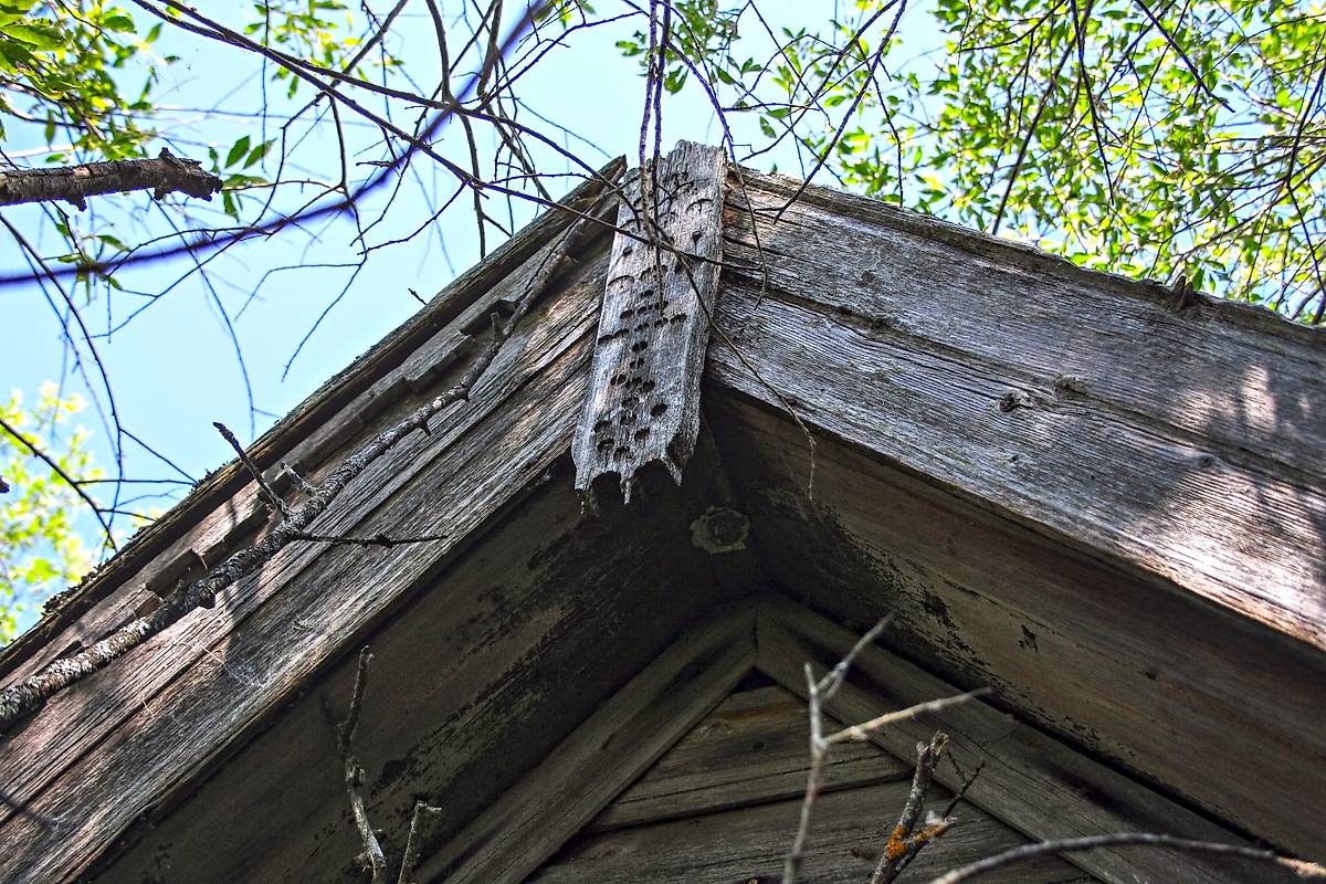 Ветреница, причелины и следы окраски медянкой на подшивке кровли, архитектурные детали. Петра и Павла и Макария Желтоводского часовня, Осташевская (Малые Кобели, Гора) (Каргопольский район, Архангельская область)