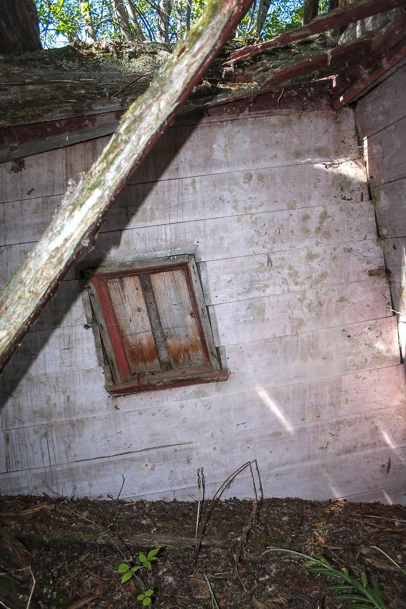 Северная стена с окном, интерьер и убранство. Петра и Павла и Макария Желтоводского часовня, Осташевская (Малые Кобели, Гора) (Каргопольский район, Архангельская область)