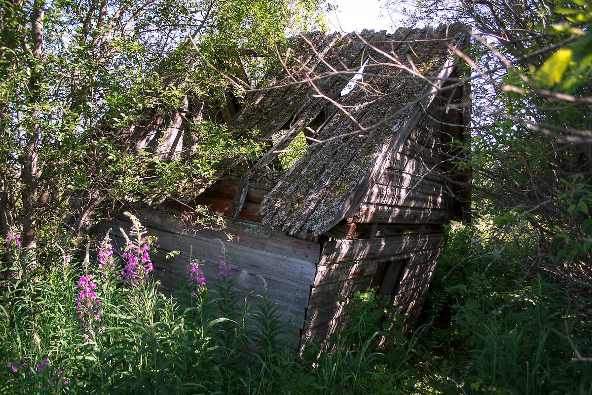 Вид с северо-запада, фасады. Петра и Павла и Макария Желтоводского часовня, Осташевская (Малые Кобели, Гора) (Каргопольский район, Архангельская область)