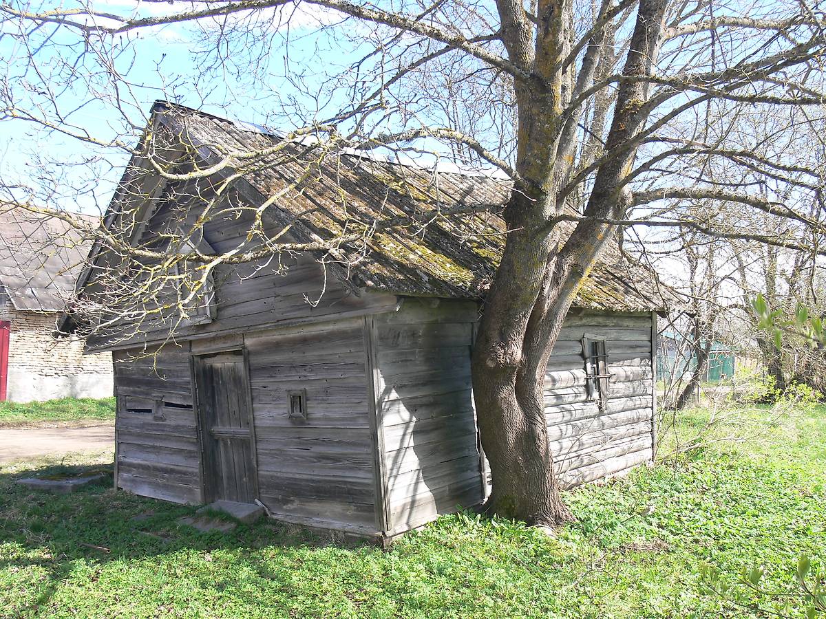 фасады. Часовня Троицы Живоначальной, Лесицко (Печорский район, Псковская область)