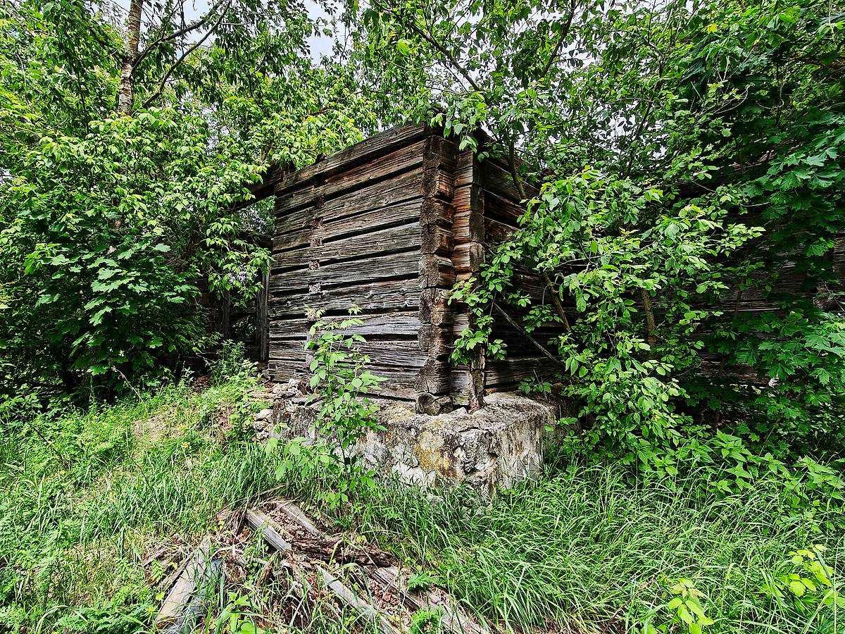 фасады. Церковь Троицы Живоначальной, Самодуровка (Пителинский район, Рязанская область)