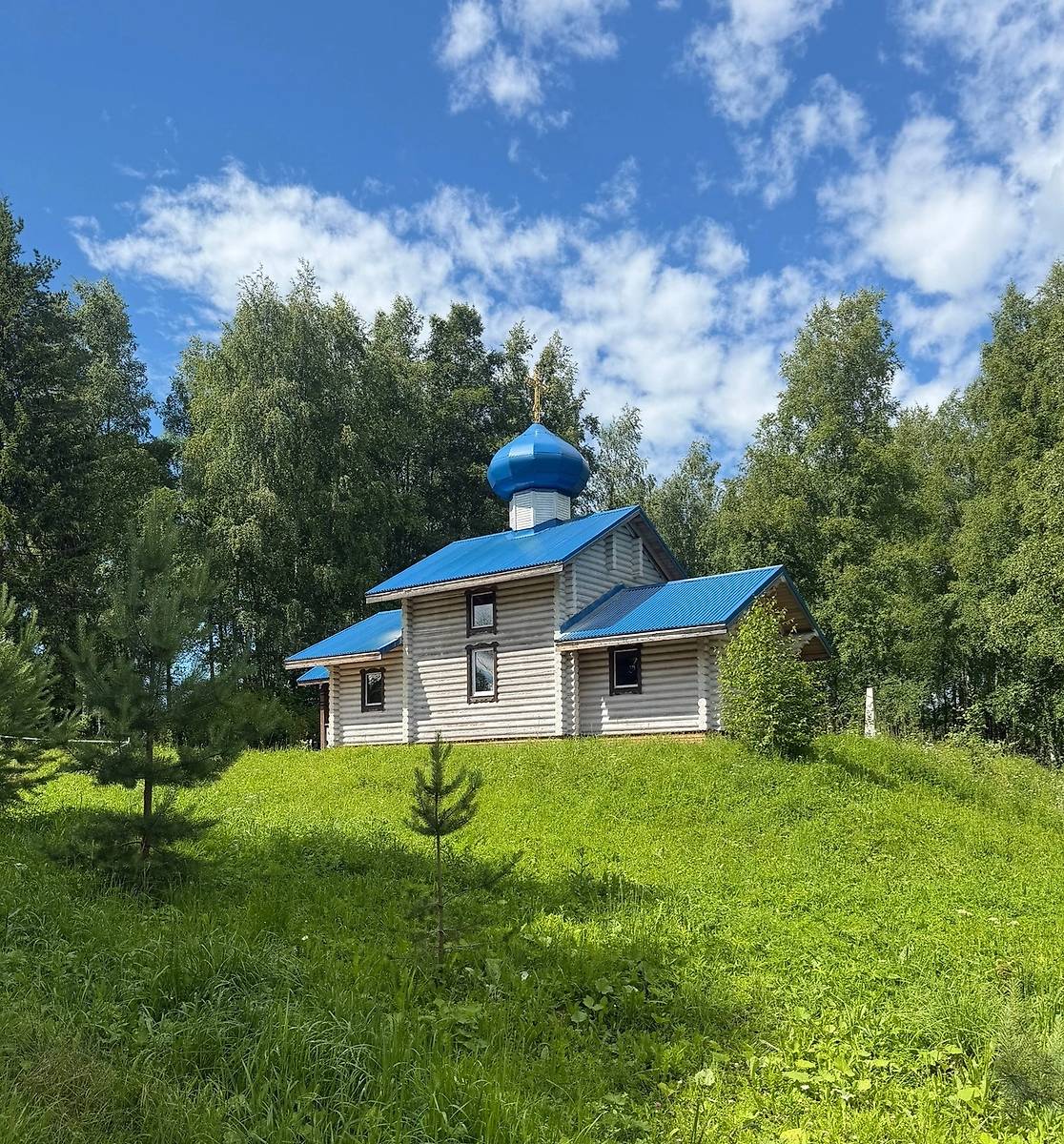 дополнительная информация. Церковь Покрова Пресвятой Богородицы, Чёбсара (Шекснинский район, Вологодская область)