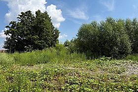 Неготино. Церковь Рождества Пресвятой Богородицы