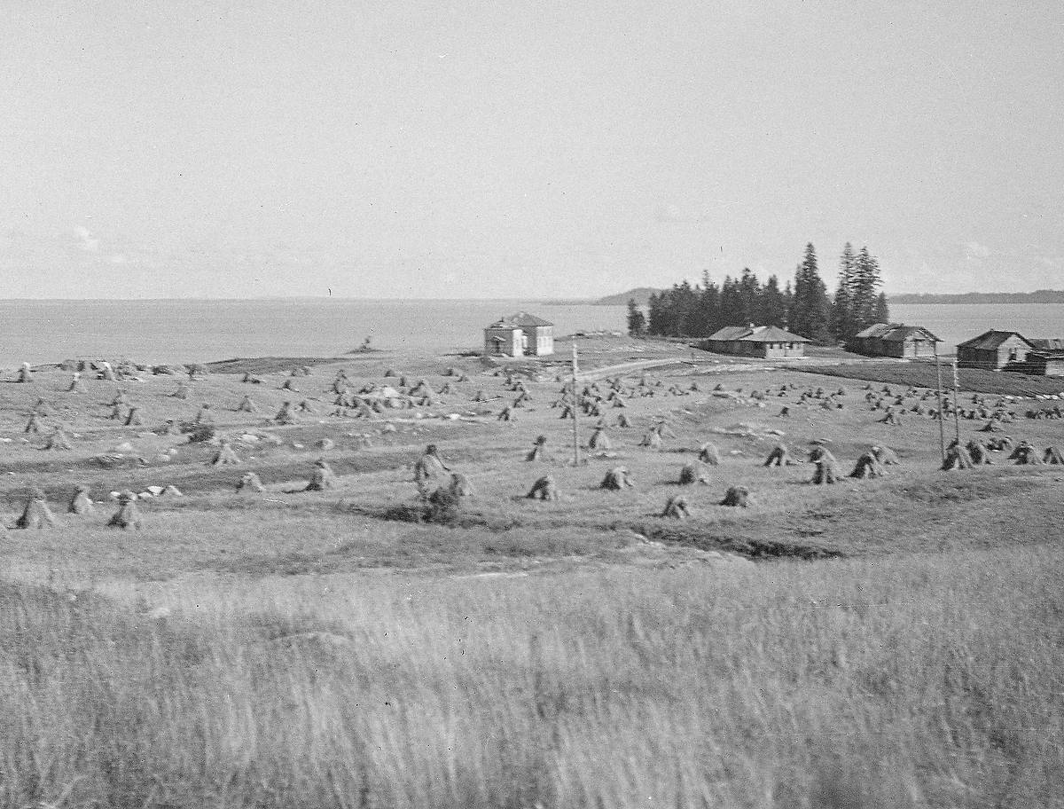 Фото 1941-1944 годов из архива SA-Kuva. Автор O. Hytönen, архивная фотография. Церковь Зосимы и Савватия Соловецких, Эссойла (Пряжинский район, Республика Карелия)