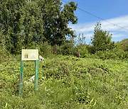 Церковь Михаила Архангела, Какино, Гагинский район, Нижегородская область